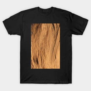 Shale rock T-Shirt